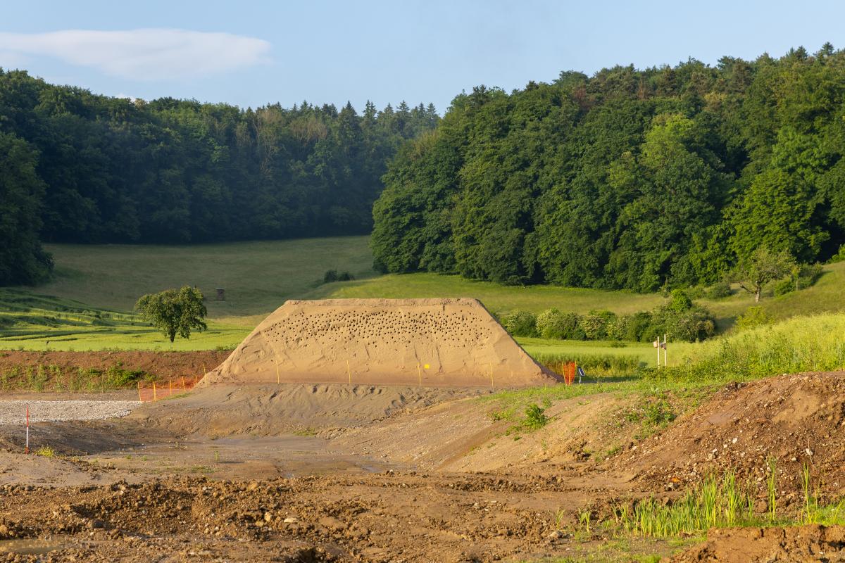 Uferschwalbenwand
