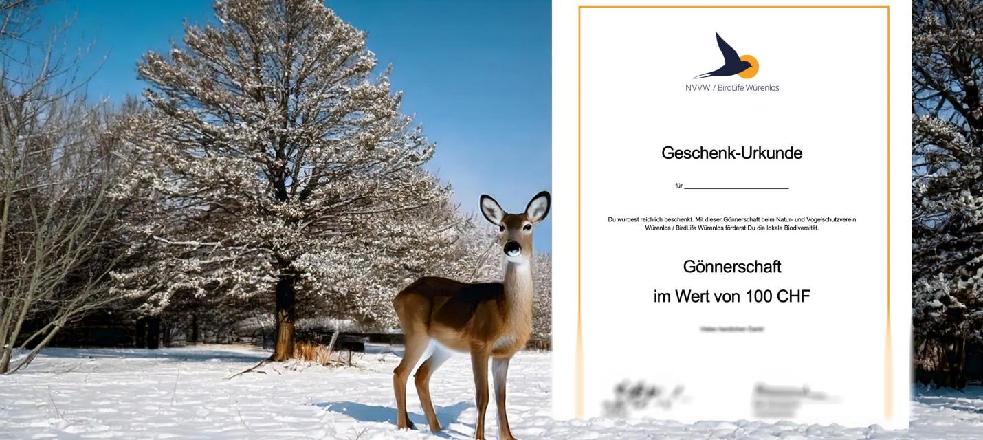 Geschenkgönnerschaft