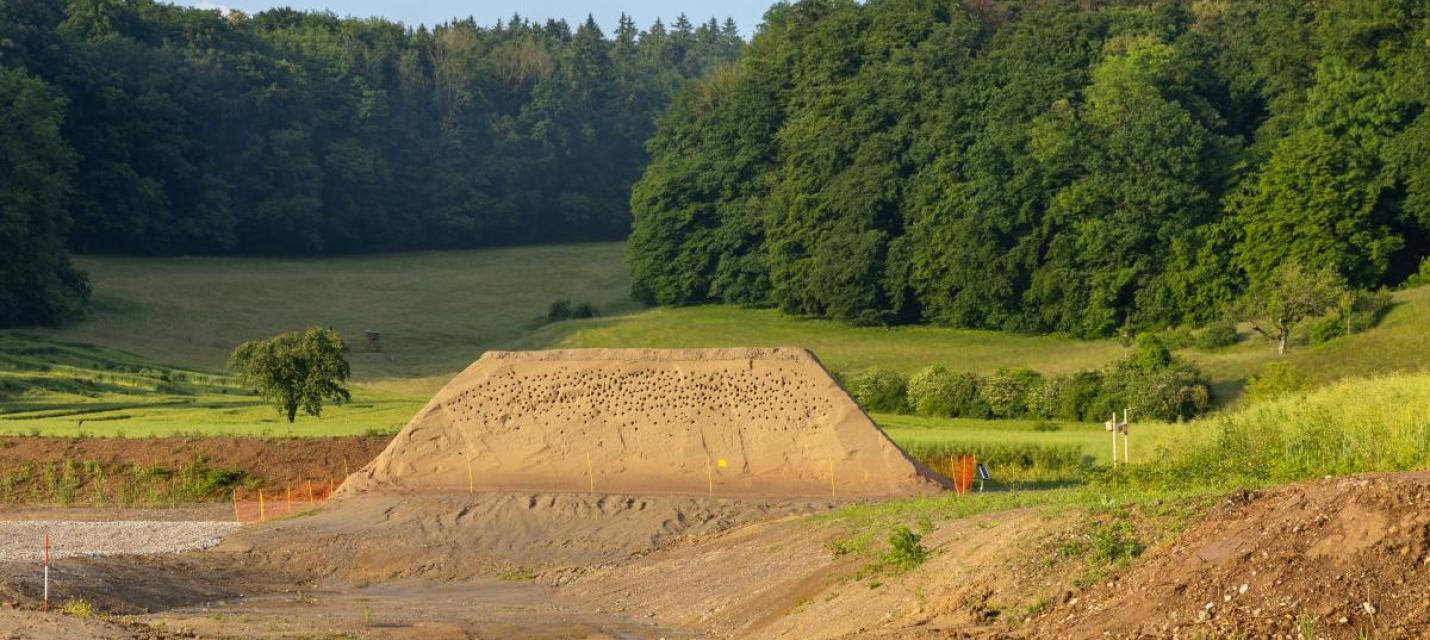 Uferschwalbenwand
