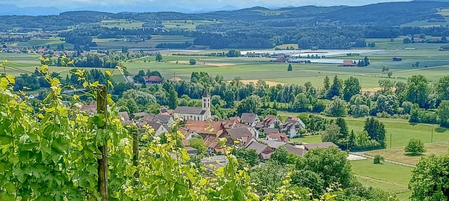 Weingut Lenz
